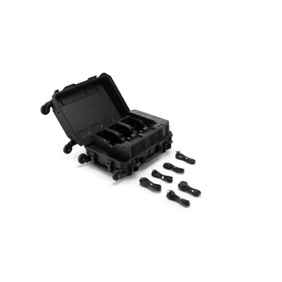 BS100 Intelligent Battery Station